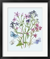 Wildflowers Arrangements II Framed Print