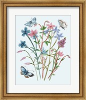 Framed 'Wildflowers Arrangements III' border=