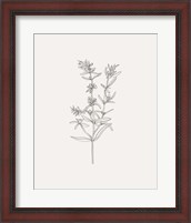 Framed 'Wild Foliage Sketch I' border=