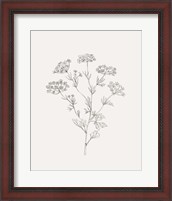 Framed 'Wild Foliage Sketch III' border=