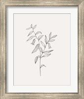 Framed 'Wild Foliage Sketch IV' border=