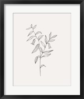 Framed 'Wild Foliage Sketch IV' border=