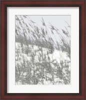 Framed 'Lush Dunes III' border=