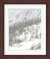 Framed 'Lush Dunes IV' border=