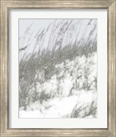 Framed 'Lush Dunes IV' border=