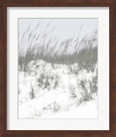 Framed 'Lush Dunes V' border=