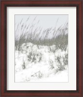 Framed 'Lush Dunes V' border=