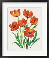 Framed 'Red Tulips in Bloom II' border=