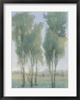 Framed Tree Grove II