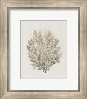 Framed 'Leaf Arrangement II' border=