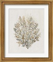 Framed 'Leaf Arrangement II' border=