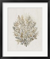 Framed 'Leaf Arrangement II' border=