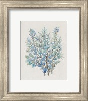 Framed 'Leaf Arrangement III' border=