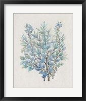 Leaf Arrangement III Framed Print