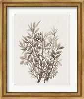 Framed 'Leaf Arrangement IV' border=