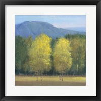 Shaft of Light I Framed Print