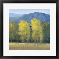 Shaft of Light II Framed Print