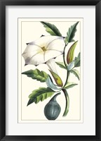 Framed Turpin Exotic Botanical I