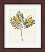 Framed 'Botanical of the Tropics VIII' border=