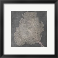 Framed 'Natural Sea Fan VII' border=