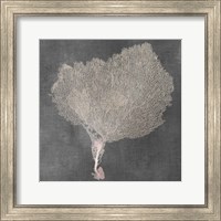 Framed 'Natural Sea Fan VIII' border=