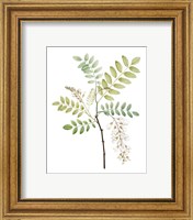 Framed 'Soft Green Botanical I' border=