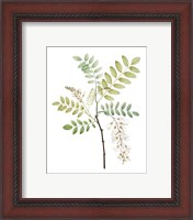 Framed 'Soft Green Botanical I' border=