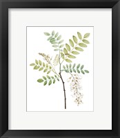 Framed 'Soft Green Botanical I' border=