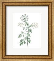 Framed 'Soft Green Botanical II' border=