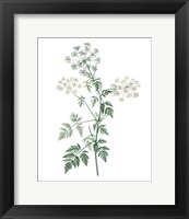 Framed 'Soft Green Botanical II' border=