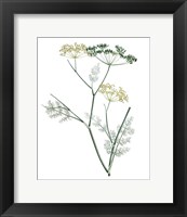 Framed 'Soft Green Botanical IV' border=