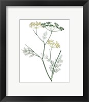 Framed 'Soft Green Botanical IV' border=