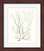 Framed 'Sage Green Seaweed V' border=