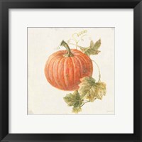 Framed 'Floursack Autumn VIII v2' border=