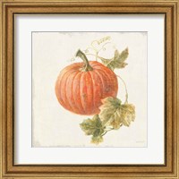 Framed 'Floursack Autumn VIII v2' border=