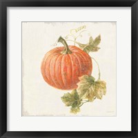 Framed 'Floursack Autumn VIII v2' border=