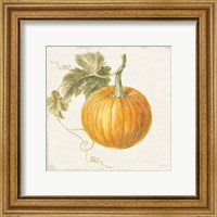 Framed 'Floursack Autumn VI v2' border=