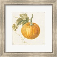 Framed 'Floursack Autumn VI v2' border=