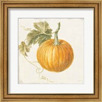 Framed 'Floursack Autumn VI v2' border=