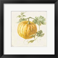 Framed 'Floursack Autumn V v2' border=