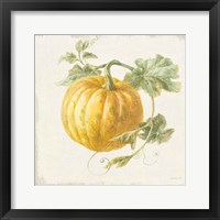 Floursack Autumn V v2 Framed Print