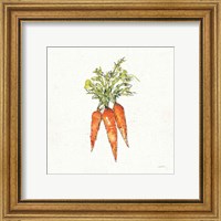 Framed 'Veggie Market V Carrots' border=