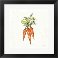 Framed 'Veggie Market V Carrots' border=