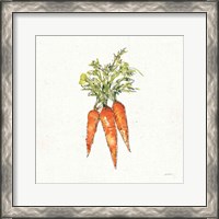 Framed 'Veggie Market V Carrots' border=