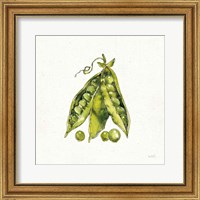 Framed 'Veggie Market IV Peas' border=