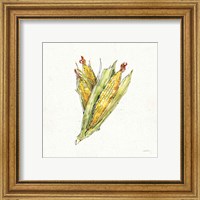 Framed 'Veggie Market III Corn' border=