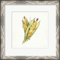 Framed 'Veggie Market III Corn' border=