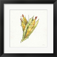 Framed 'Veggie Market III Corn' border=