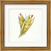 Framed 'Veggie Market III Corn' border=