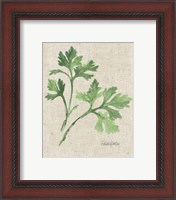 Framed 'Italian Parsley v2 on Burlap' border=